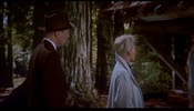 Vertigo (1958)Big Basin Redwoods State Park, California, James Stewart and Kim Novak